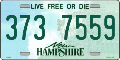 NH license plate 3737559