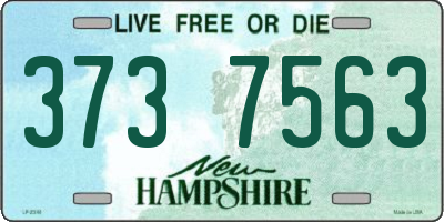NH license plate 3737563