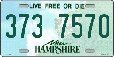 NH license plate 3737570