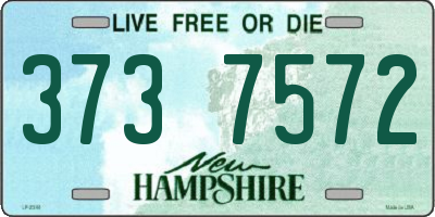 NH license plate 3737572