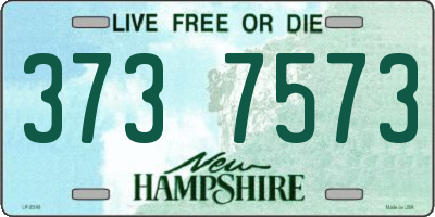 NH license plate 3737573