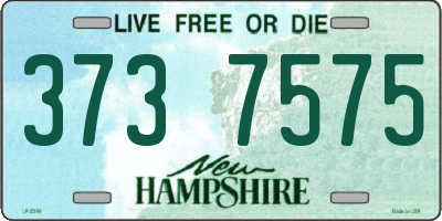 NH license plate 3737575