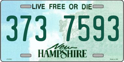 NH license plate 3737593