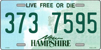 NH license plate 3737595