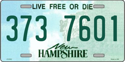 NH license plate 3737601