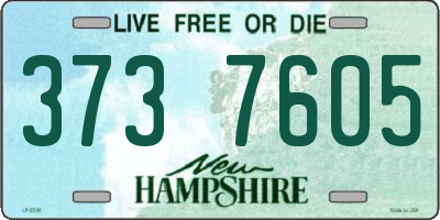 NH license plate 3737605