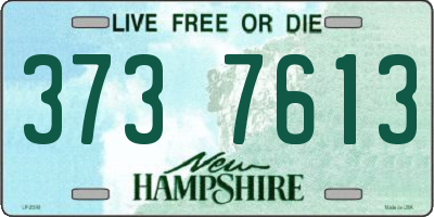 NH license plate 3737613