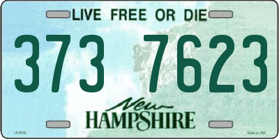 NH license plate 3737623