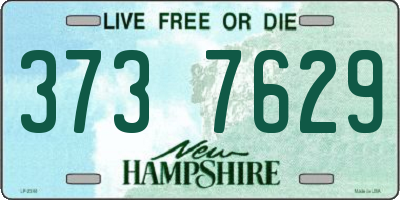 NH license plate 3737629