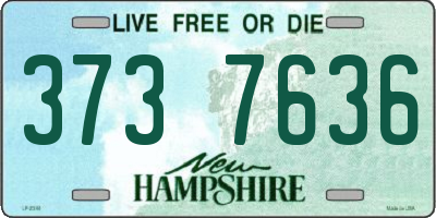 NH license plate 3737636