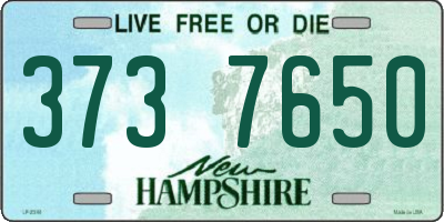 NH license plate 3737650