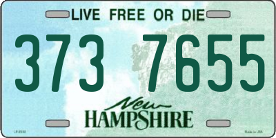 NH license plate 3737655