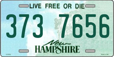NH license plate 3737656