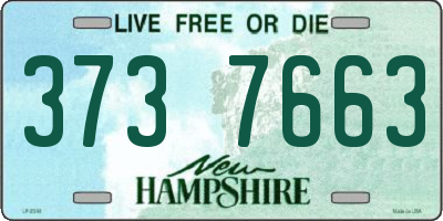 NH license plate 3737663