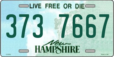 NH license plate 3737667