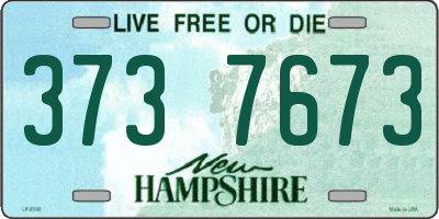 NH license plate 3737673