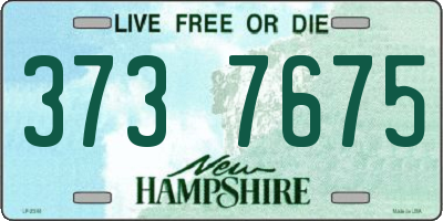 NH license plate 3737675