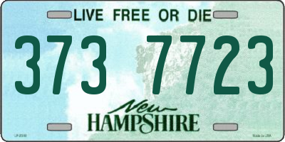 NH license plate 3737723