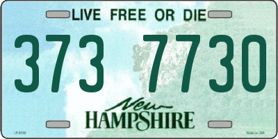 NH license plate 3737730