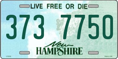 NH license plate 3737750