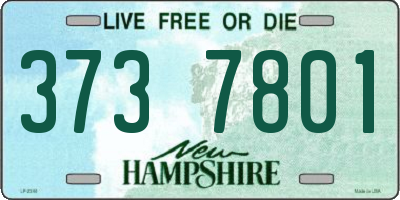 NH license plate 3737801