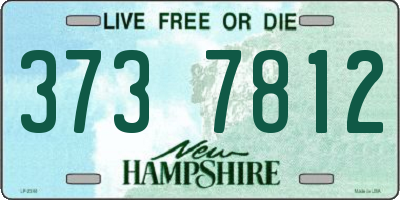 NH license plate 3737812
