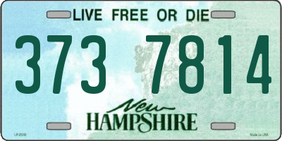 NH license plate 3737814