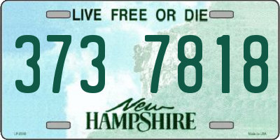 NH license plate 3737818