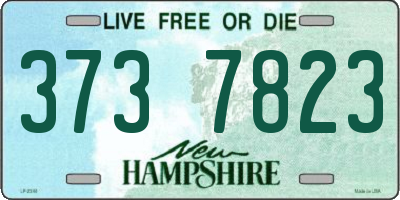 NH license plate 3737823