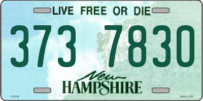 NH license plate 3737830
