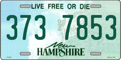NH license plate 3737853