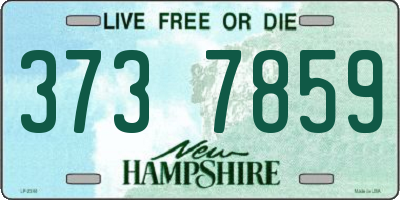 NH license plate 3737859
