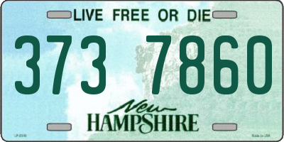 NH license plate 3737860