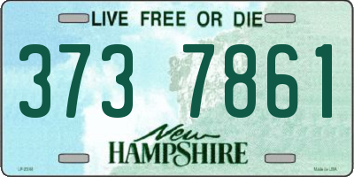 NH license plate 3737861