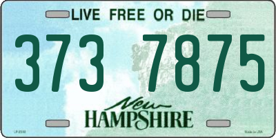 NH license plate 3737875