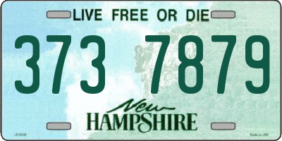 NH license plate 3737879
