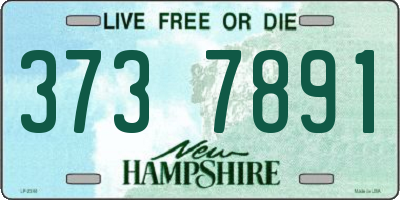 NH license plate 3737891