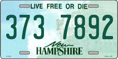 NH license plate 3737892
