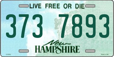 NH license plate 3737893