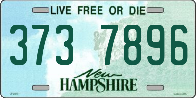 NH license plate 3737896