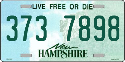 NH license plate 3737898