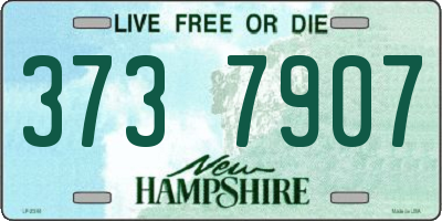 NH license plate 3737907