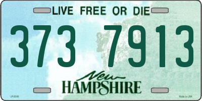 NH license plate 3737913