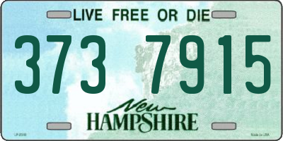 NH license plate 3737915