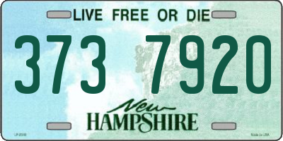 NH license plate 3737920
