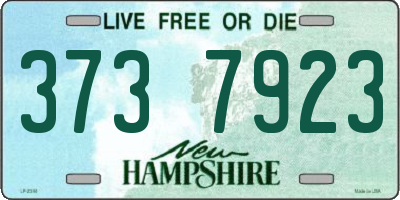 NH license plate 3737923
