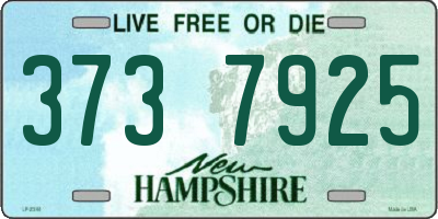 NH license plate 3737925