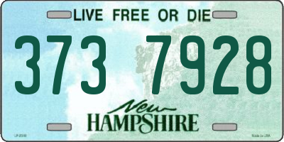 NH license plate 3737928