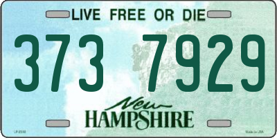 NH license plate 3737929