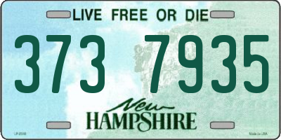NH license plate 3737935